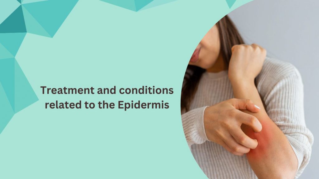Treatment and conditions related to the epidermis