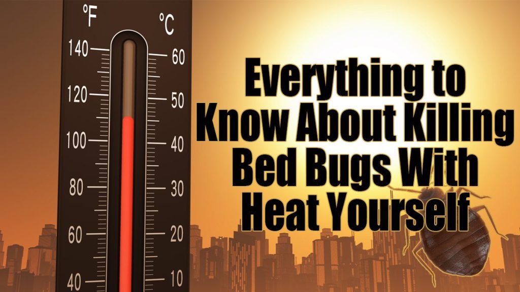 Killing bed bugs with heat