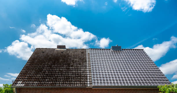 Roof Cleaning in Dublin: All Stone Cleaning vs Happy Clean