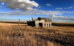 Best rural business opportunities in Canada