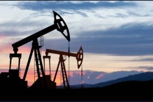 Oil Trading Networks