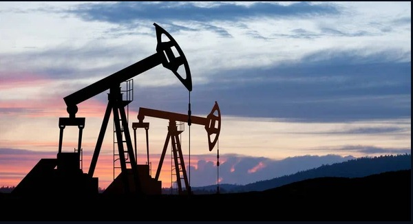 Oil Trading Networks